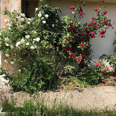 Le Jardin Suspendu Apartment Rillieux-la-Pape Exterior foto