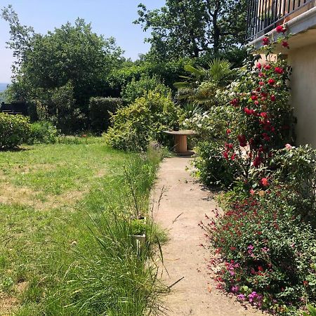 Le Jardin Suspendu Apartment Rillieux-la-Pape Exterior foto