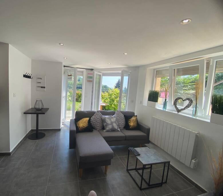Le Jardin Suspendu Apartment Rillieux-la-Pape Exterior foto