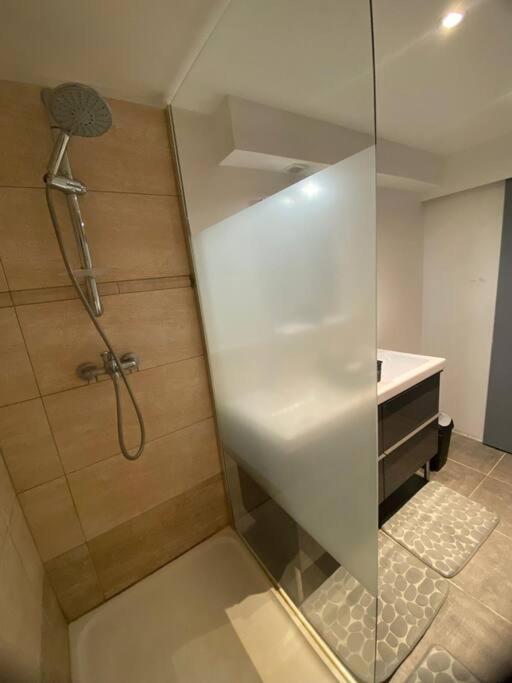 Le Jardin Suspendu Apartment Rillieux-la-Pape Exterior foto