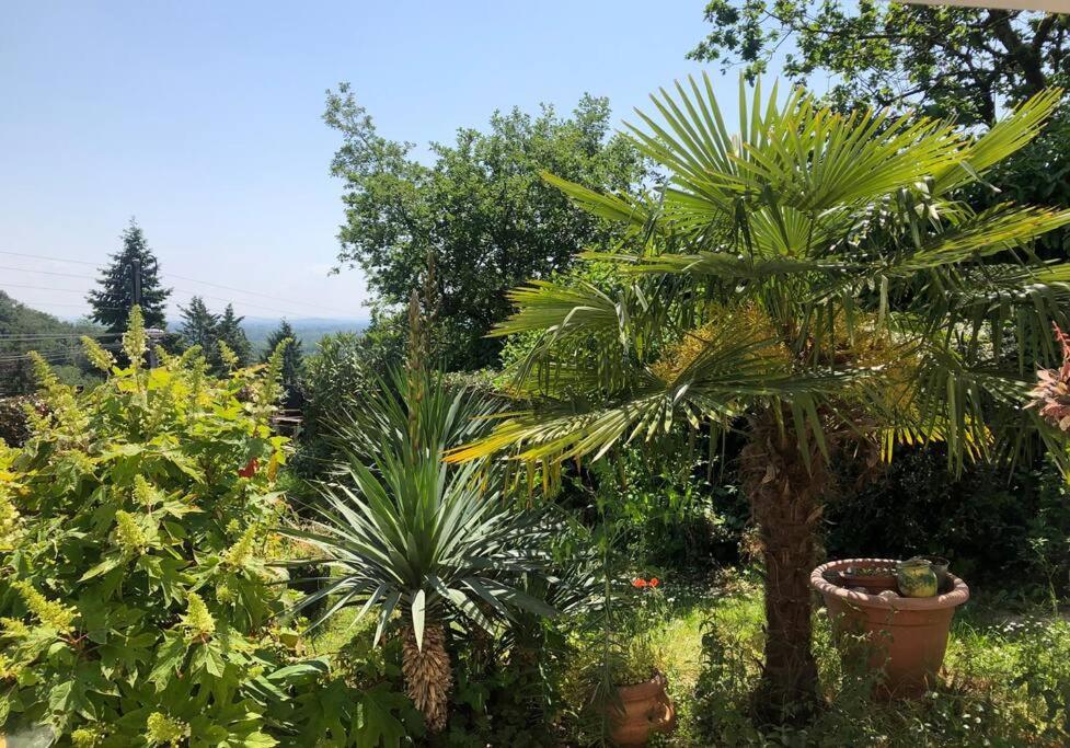 Le Jardin Suspendu Apartment Rillieux-la-Pape Exterior foto