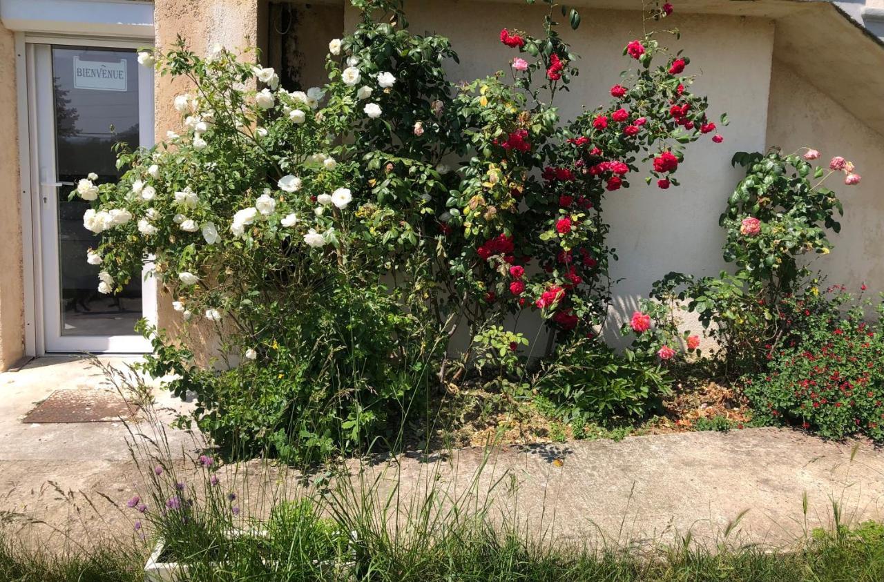 Le Jardin Suspendu Apartment Rillieux-la-Pape Exterior foto